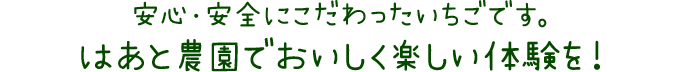 農園のこだわり