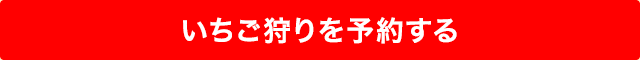 いちご狩りを予約する