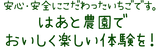 農園のこだわり