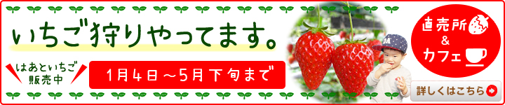 はあと農園のいちご狩りは12月～5月まで開催！直売所やカフェもオープン！